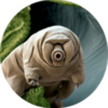 želvuška tardigrade